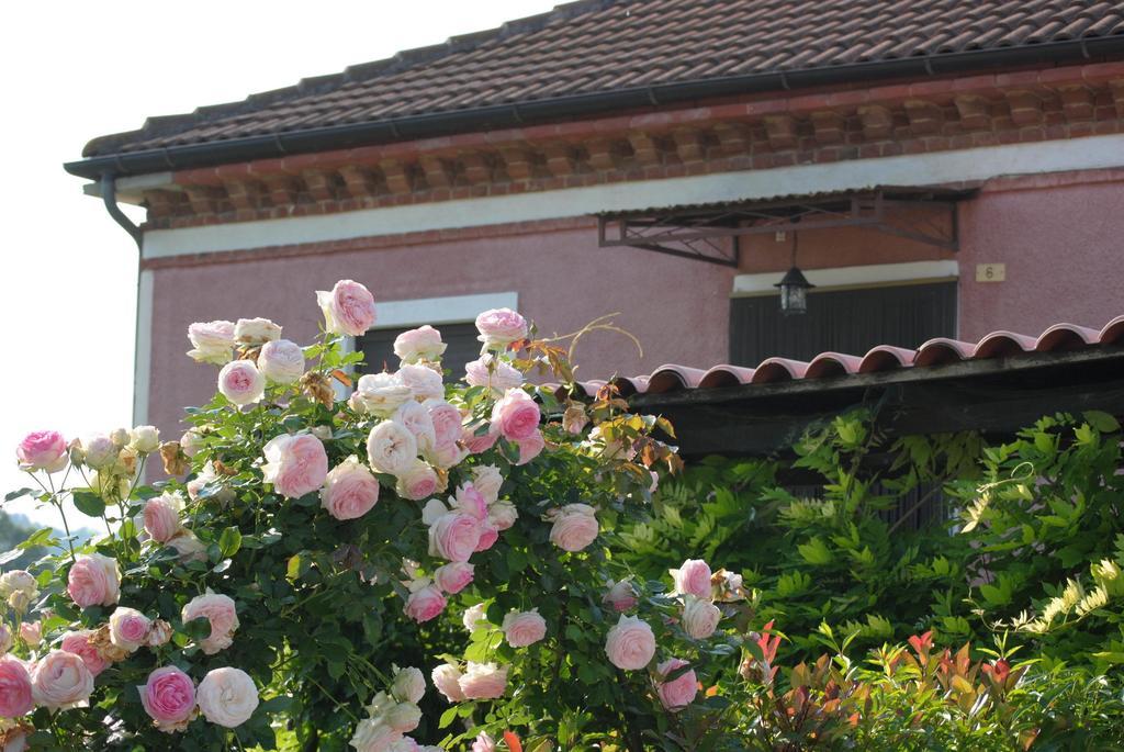 B&B La Ca Cita Cortazzone Exteriör bild